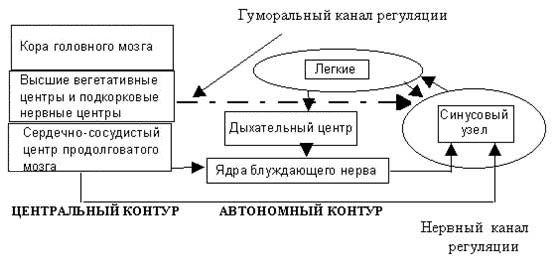 Схемы ритма для детей